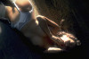 yuuki_hitomi014_s.jpg