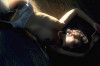 yuuki_hitomi017_s.jpg